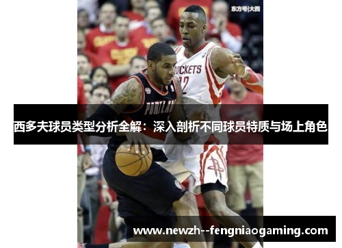 西多夫球员类型分析全解：深入剖析不同球员特质与场上角色