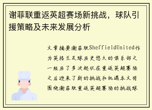 谢菲联重返英超赛场新挑战，球队引援策略及未来发展分析