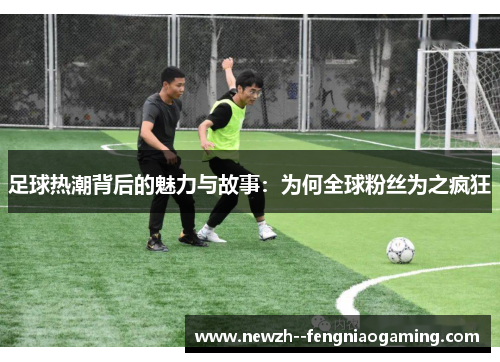 足球热潮背后的魅力与故事：为何全球粉丝为之疯狂