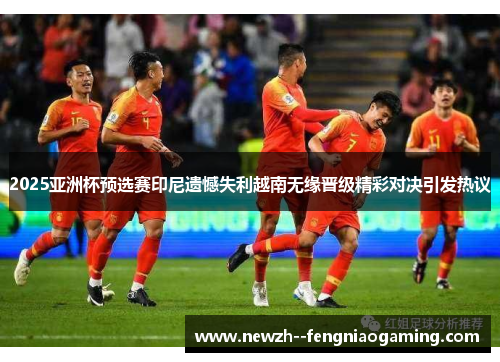 2025亚洲杯预选赛印尼遗憾失利越南无缘晋级精彩对决引发热议