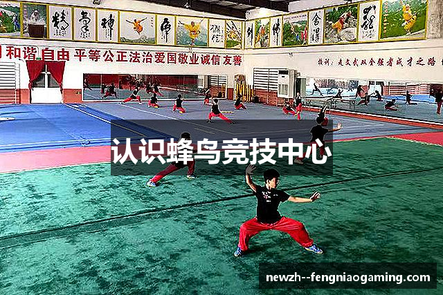 蜂鸟电竞首页 | 电竞游戏世界入口，竞技从这里开始