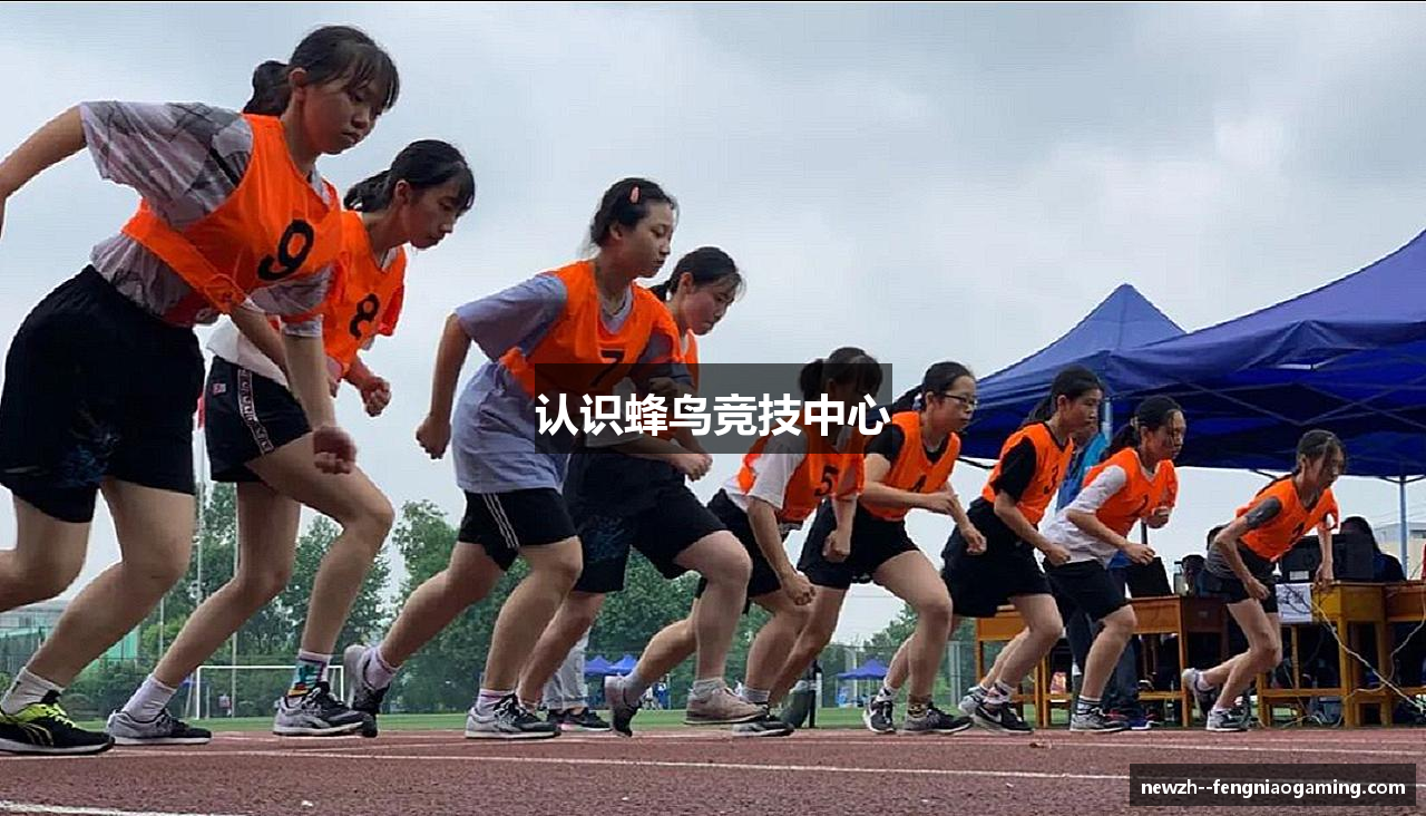 认识蜂鸟竞技中心