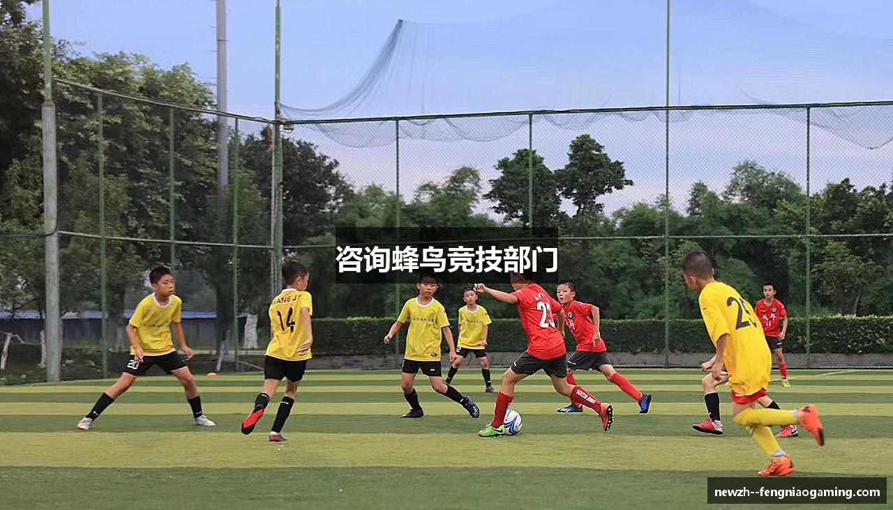 咨询蜂鸟竞技部门